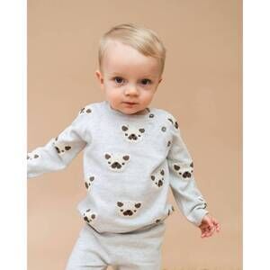 NEW VIVERANO ORGANICS frenchie puppy jacquard knit pullover sweater in pearl gre